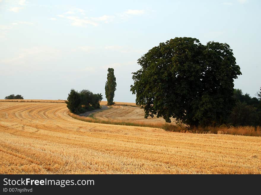 A beautiful late summer day in the hilly area of the Palatinate region of Germany.