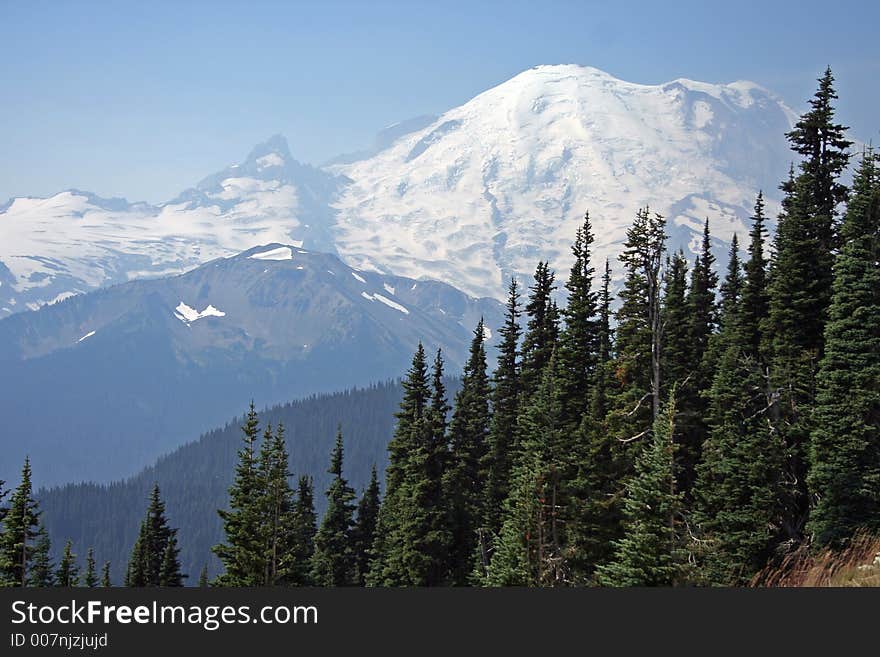 A view of Mt Rainier from Sunrise in the Mt Rainier National Park, Washington. A view of Mt Rainier from Sunrise in the Mt Rainier National Park, Washington