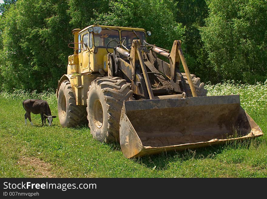 Tractor after work and a cow