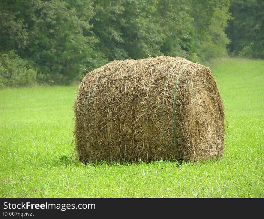 Bale of hay in a field. Bale of hay in a field