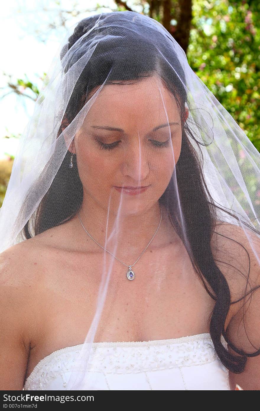 Bride Veil