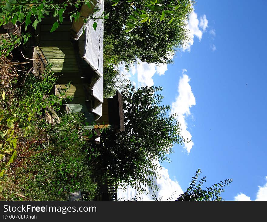 Beehives in a greeny garden