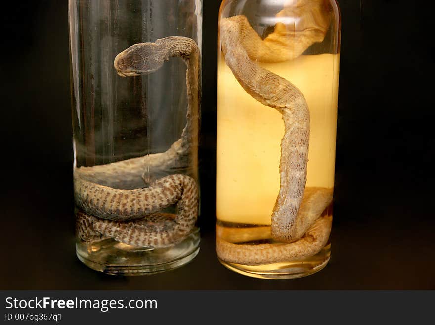 Two brandy of snake, drench