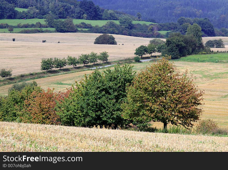 Autumn landscape, nice colored landscape.