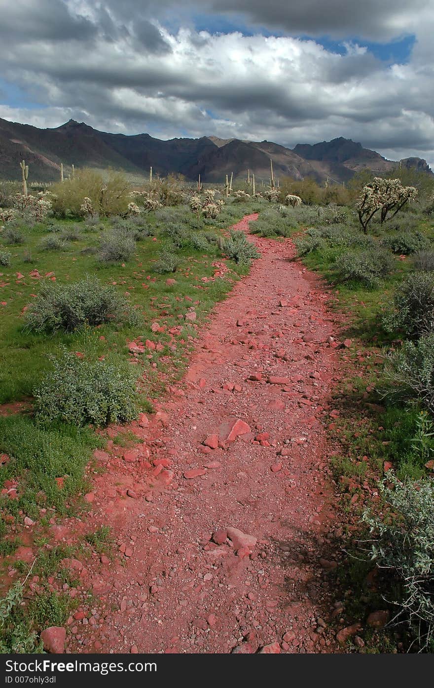 Rocky trail or path through the Arizona desert with mountains and cactus in the background. Rocky trail or path through the Arizona desert with mountains and cactus in the background