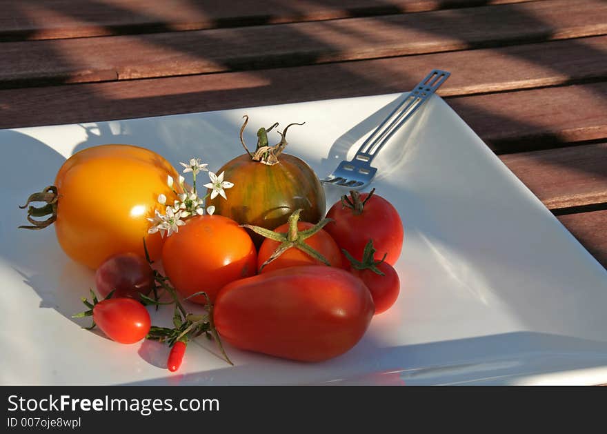 Variety of tomatoes on a plate in the evening sun, high depth of field. Variety of tomatoes on a plate in the evening sun, high depth of field