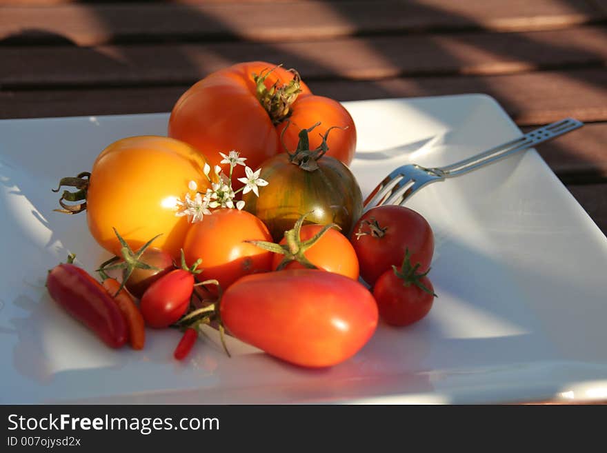 Variety of tomatoes on a plate in the evening sun, slightly blurred background. Variety of tomatoes on a plate in the evening sun, slightly blurred background