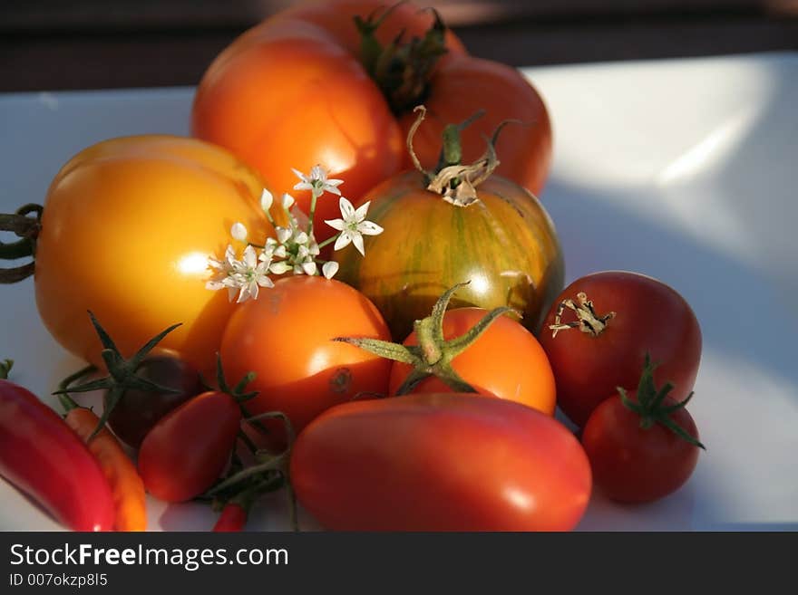 Variety of tomatoes on a plate in the evening sun, small depth of field. Variety of tomatoes on a plate in the evening sun, small depth of field