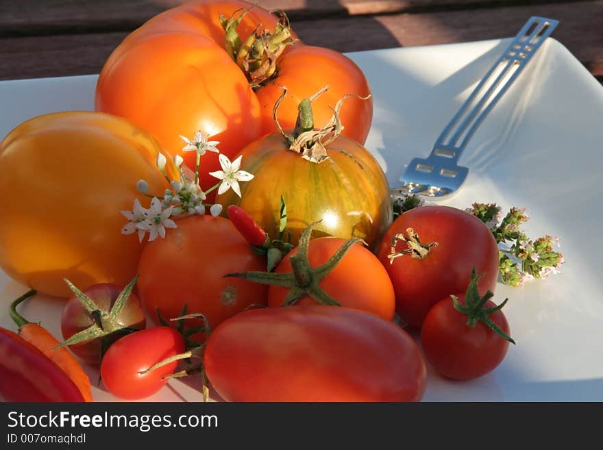 Variety of tomatoes on a plate in the evening sun. Variety of tomatoes on a plate in the evening sun