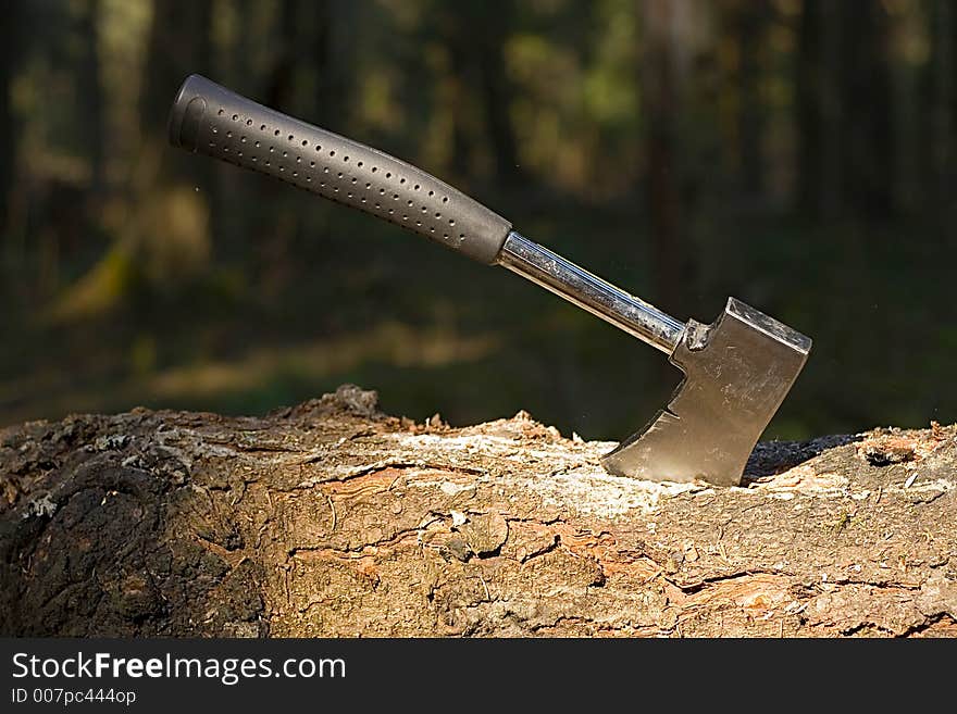 Wood axe sticked into a tree. Wood axe sticked into a tree