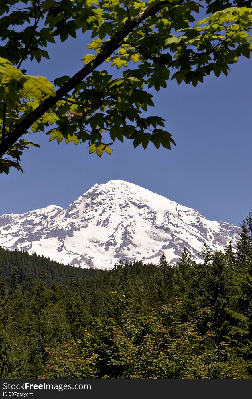 Mount Rainier, Mount Rainier National Park, Washington. Mount Rainier, Mount Rainier National Park, Washington