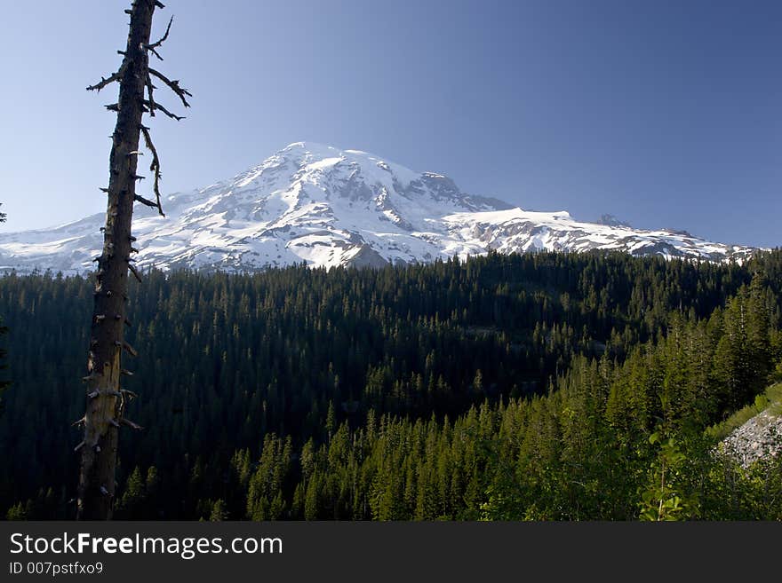 Mount Rainier, Mount Rainier National Park, Washington. Mount Rainier, Mount Rainier National Park, Washington