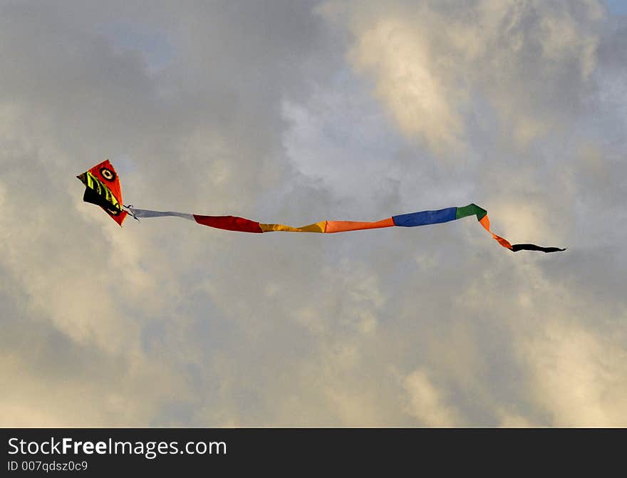 Flying kite