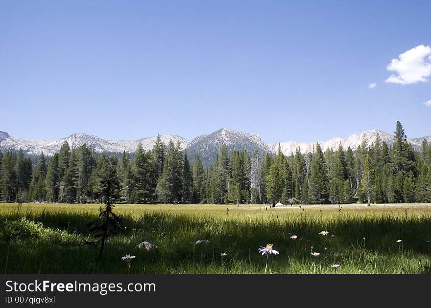 Meadow at Edison lake high sierras California. Meadow at Edison lake high sierras California