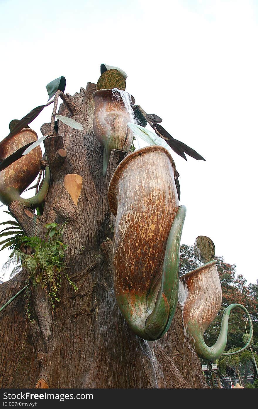 Pitcher plant Fountain