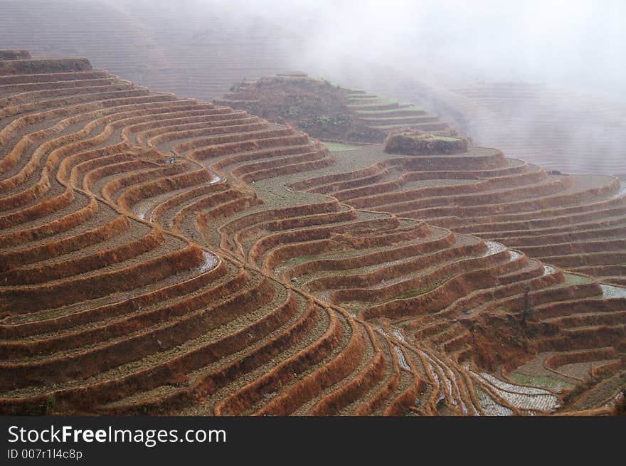 Terrace in the forg, guilin, China. Terrace in the forg, guilin, China