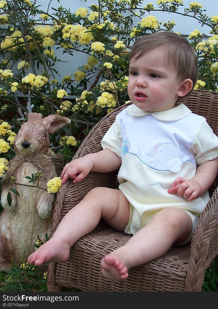 Young boy sitting in a wicker chair with a yellow banks rose in the background and rabbit by his side. Young boy sitting in a wicker chair with a yellow banks rose in the background and rabbit by his side