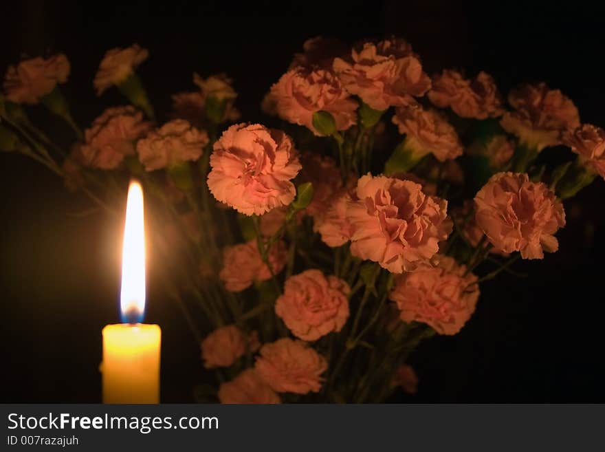 A bunch of carnations partly illuminated by a candle. A bunch of carnations partly illuminated by a candle