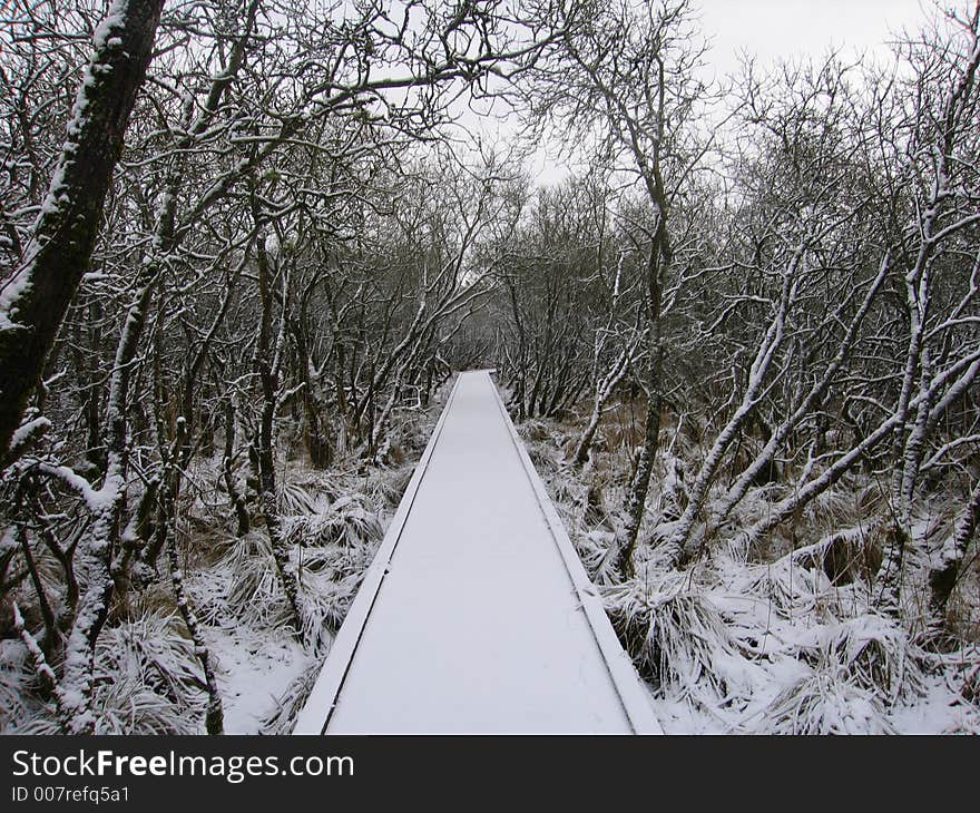 A winter bridge in the forest. A winter bridge in the forest