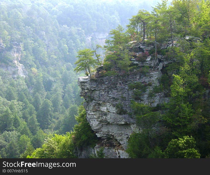 A rocky cliff at Fall Creek Falls State Park. A rocky cliff at Fall Creek Falls State Park