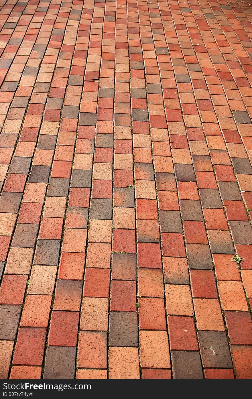 Brick sidewalk 3