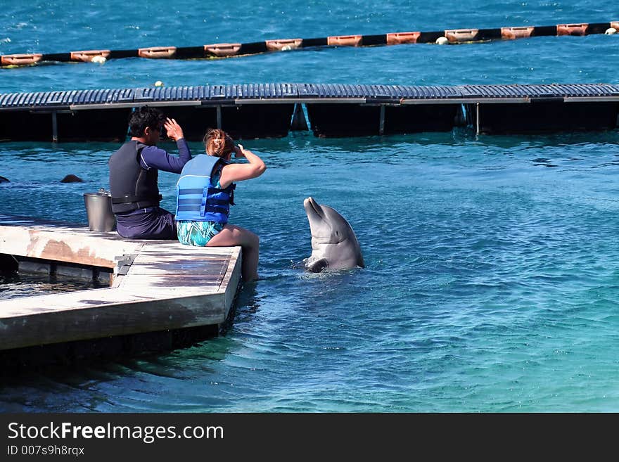 Man and woman giving the order to jump to a dolphin. Man and woman giving the order to jump to a dolphin