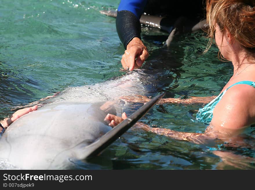 Dolphin Care