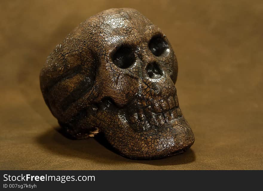 Photo of a Petrified Wooden Carved Skull