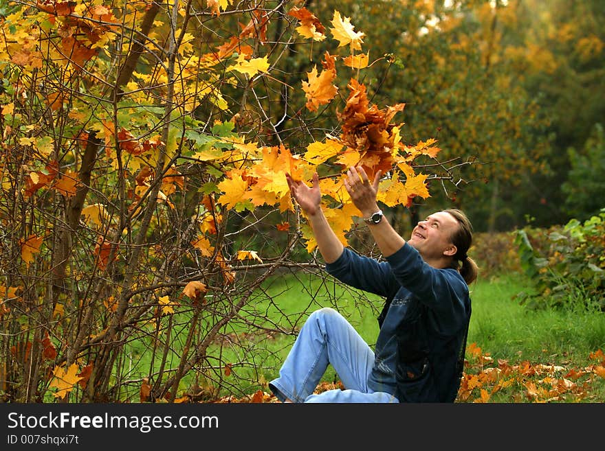 Smiling the man throws maple leaves