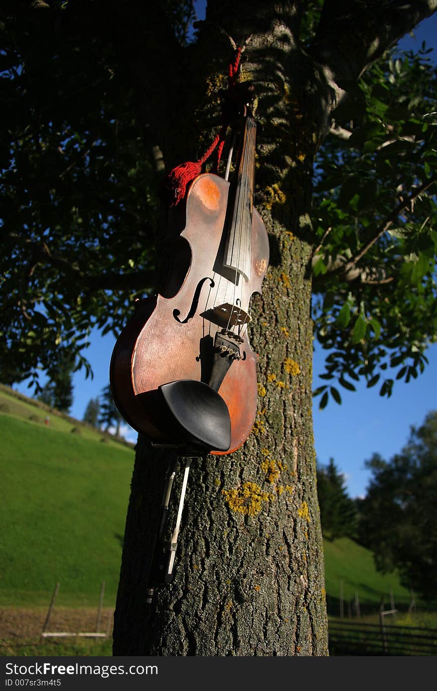 Old gipsy violin hangd on a tree