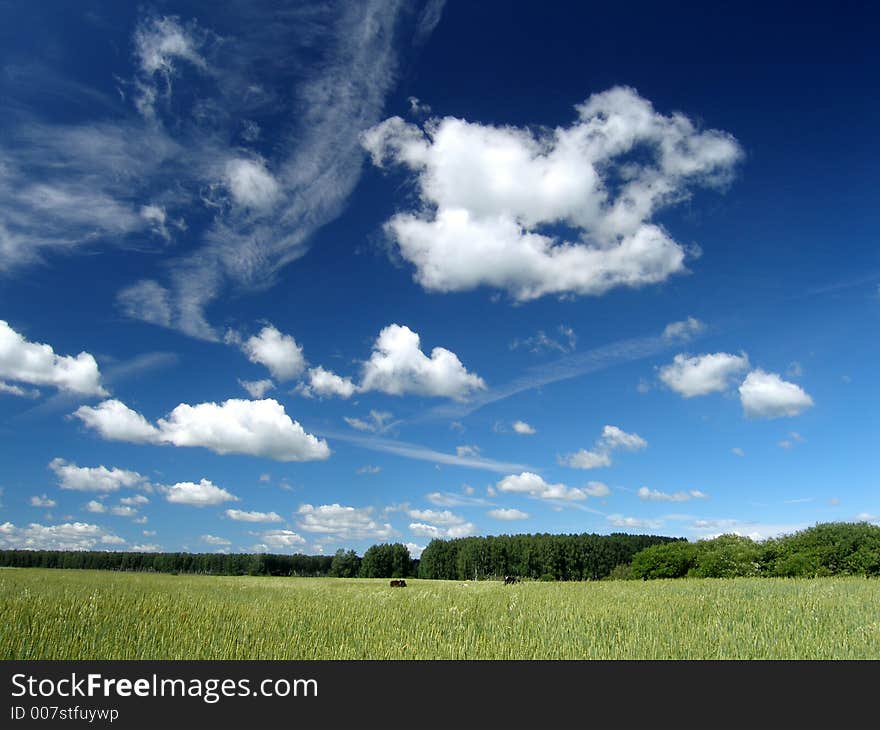 The view of the field and sky. The view of the field and sky