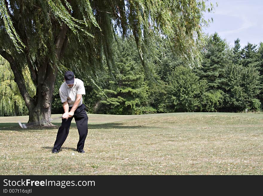 Golfer hitting from under beautiful willow tree - scenic golf course. Golfer hitting from under beautiful willow tree - scenic golf course