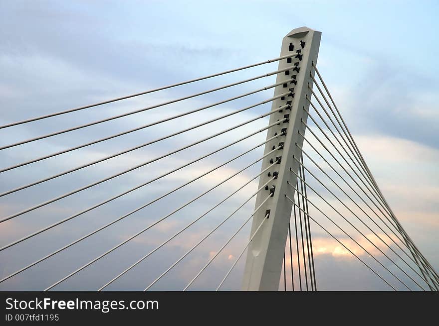 Detail of the bridge millenium. Detail of the bridge millenium