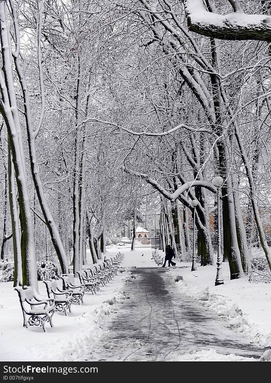 A row of benches in the park covered with snow. A row of benches in the park covered with snow