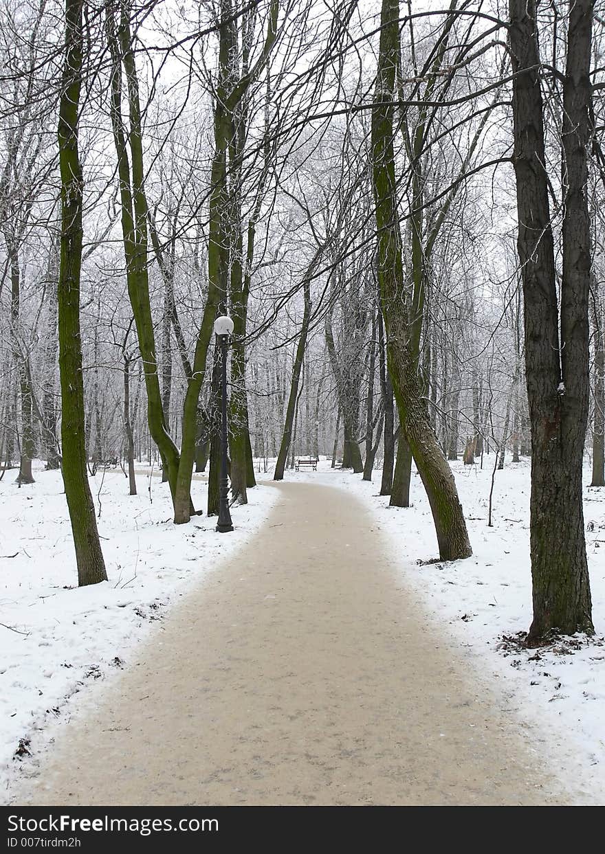 Park alley covered with snow. Park alley covered with snow