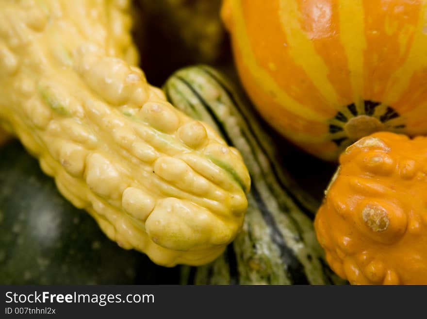 Gourds colorful just waiting for thanksgiving or fall time. Gourds colorful just waiting for thanksgiving or fall time.