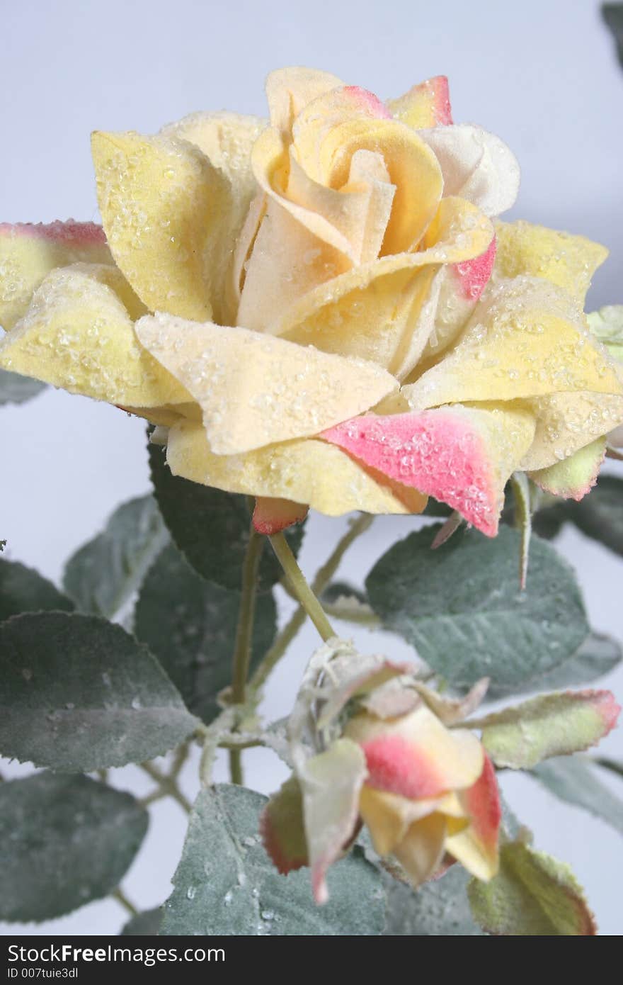 Artificial yellow rose with ice. Artificial yellow rose with ice