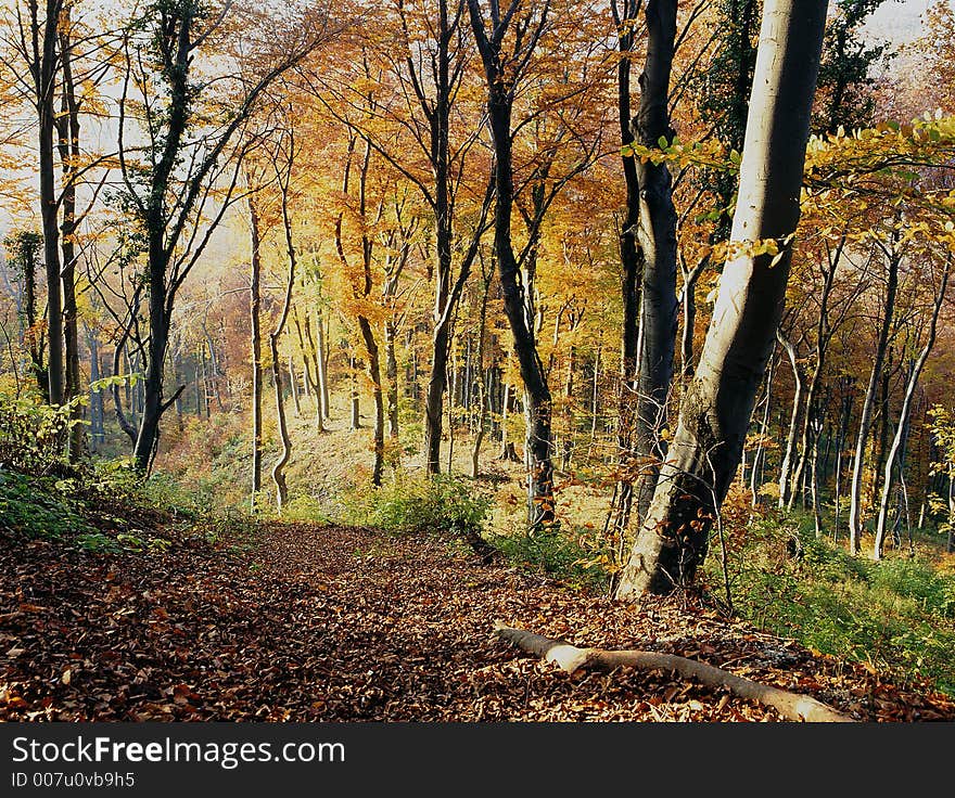 Autumn season in the mountains. Autumn season in the mountains