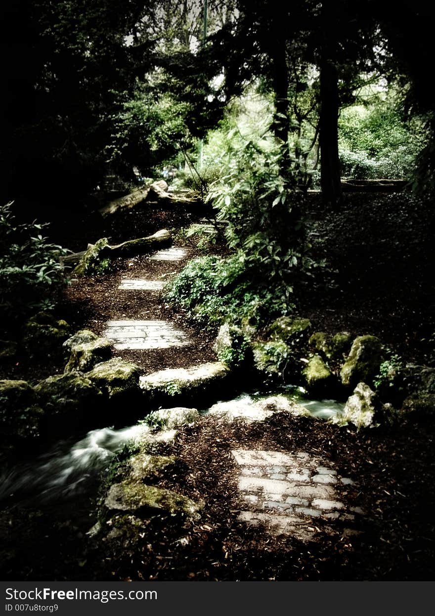 Hiden path in the forest with upredictable curves, as the somebody\'s fate can be. Shot made in the central park in Cologne.