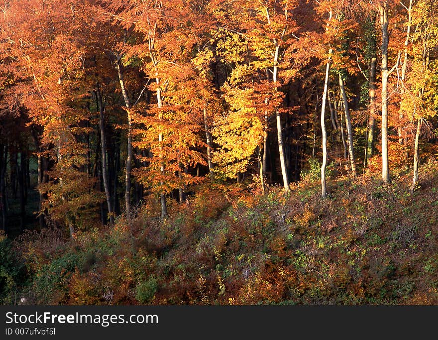 Autumn atmosphere in the mountains. Autumn atmosphere in the mountains