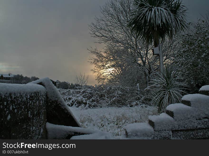 Snowy morning