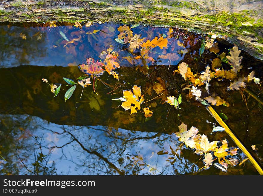 Landscape. Autumn reflection in water