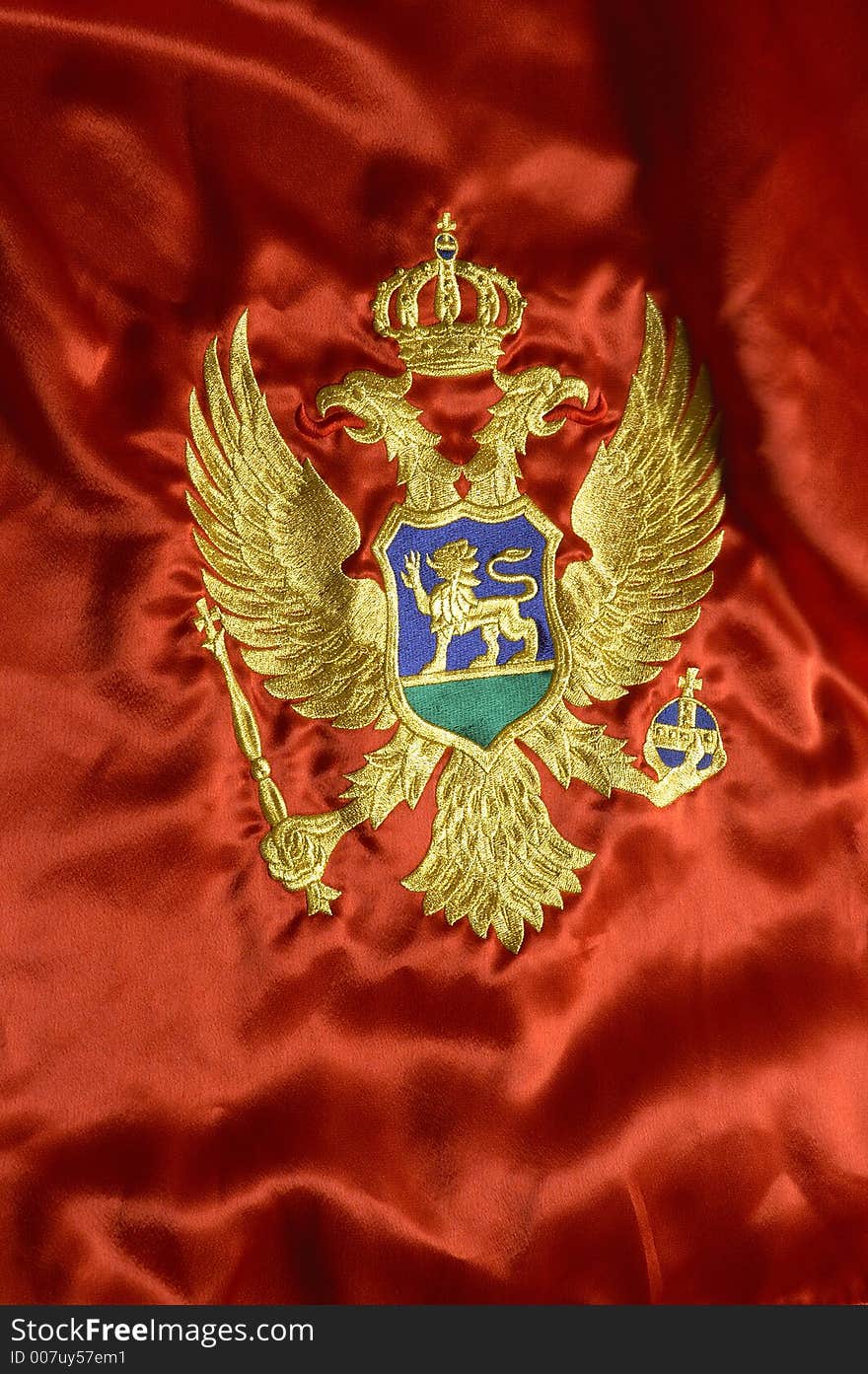 Montenegrian flag 7