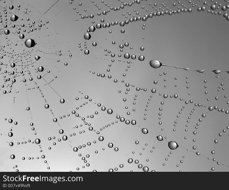 Necklace. Morning dew on a web.