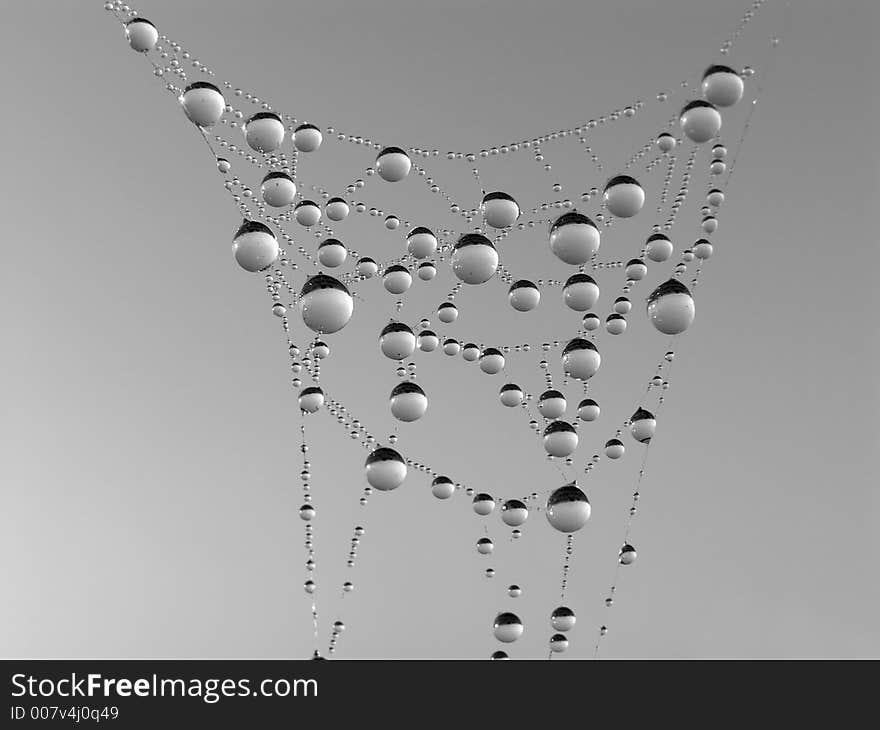 Necklace. Morning dew on a web.