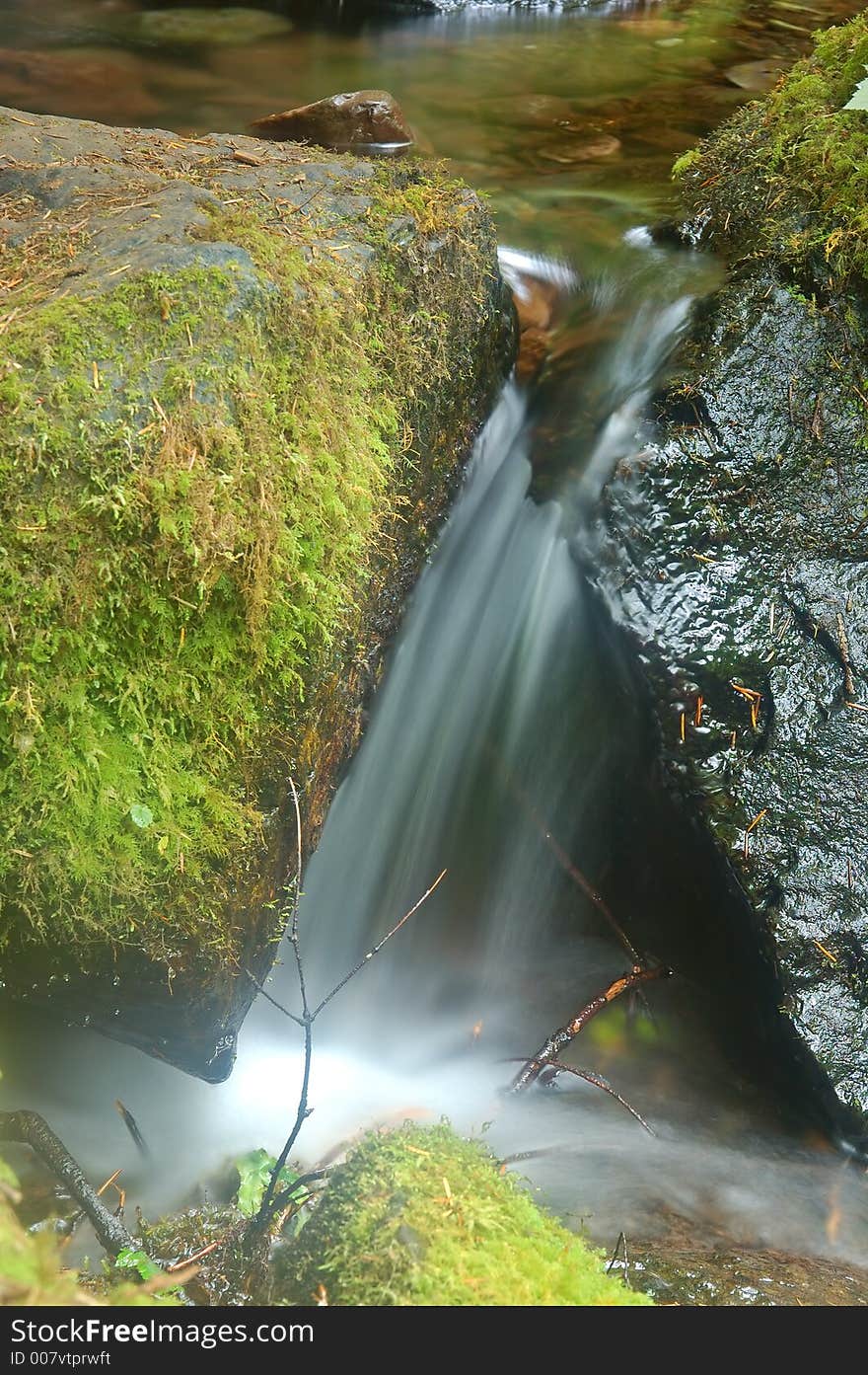 Miniture Waterfall on the floor of the rainforest in Olympic National Park