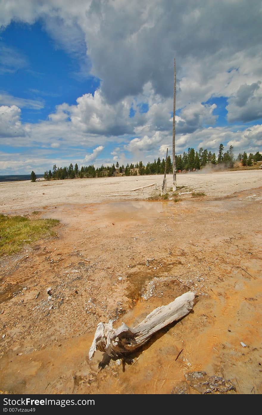 Yellowstone Geyser