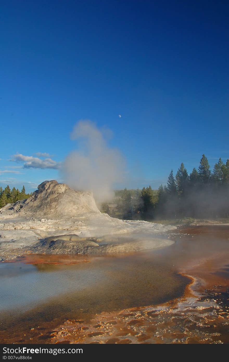 Yellowstone Geyser