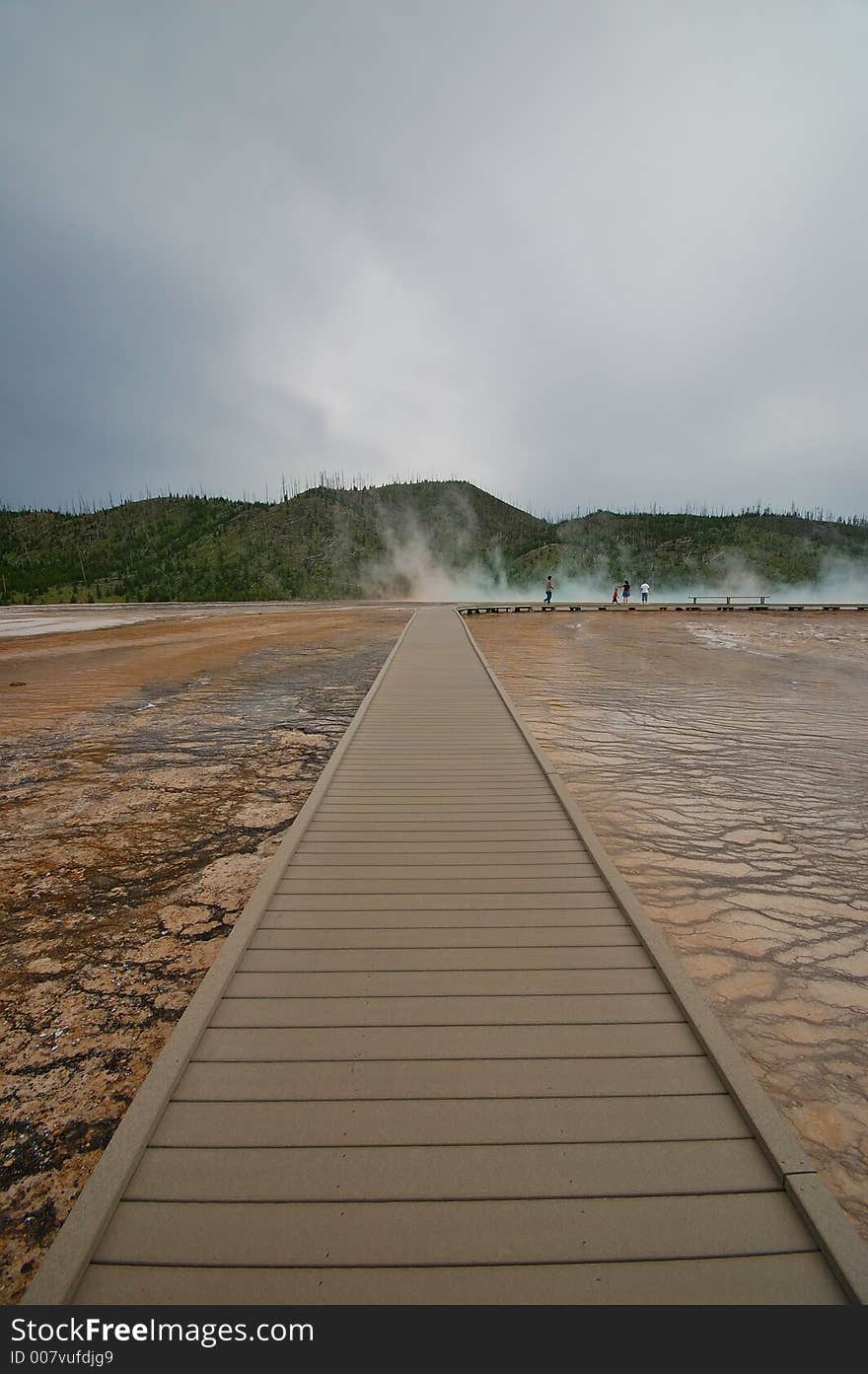 Yellowstone Geyser