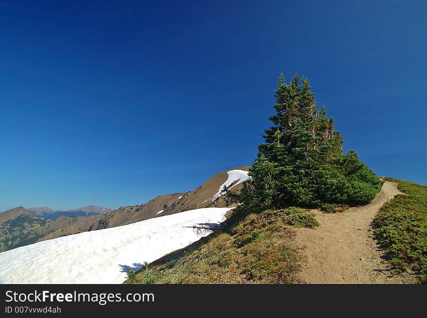 Mountain landscape